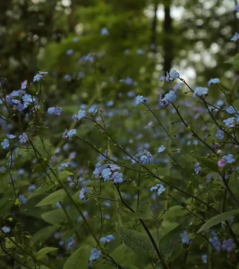 kirsten c_unsplash